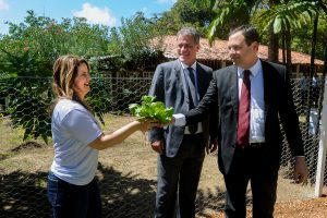 O Governo de Pernambuco estimula a população a consumir hortaliças mais saudáveis e livres de agrotóxicos, inaugurando a Horta Institucional do palácio do Campo das Princesas, sede do governo de Pernambuco. O governador Paulo Câmara e a primeira dama dona Ana Luiza, receberam a imprensa e convidados, plantaram e colheram produtos da horta, dando assim o primerio passo na disseminação da idéia em orgãos públicos e residencias. Foto: Edmar Melo